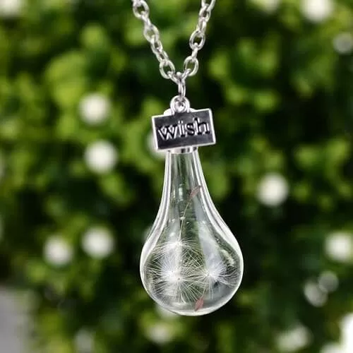 Glass Bottle Natural Dandelion Seed Necklace