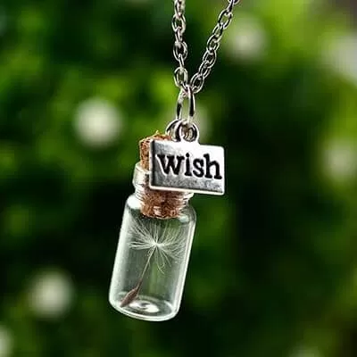 Glass Bottle Natural Dandelion Seed Necklace