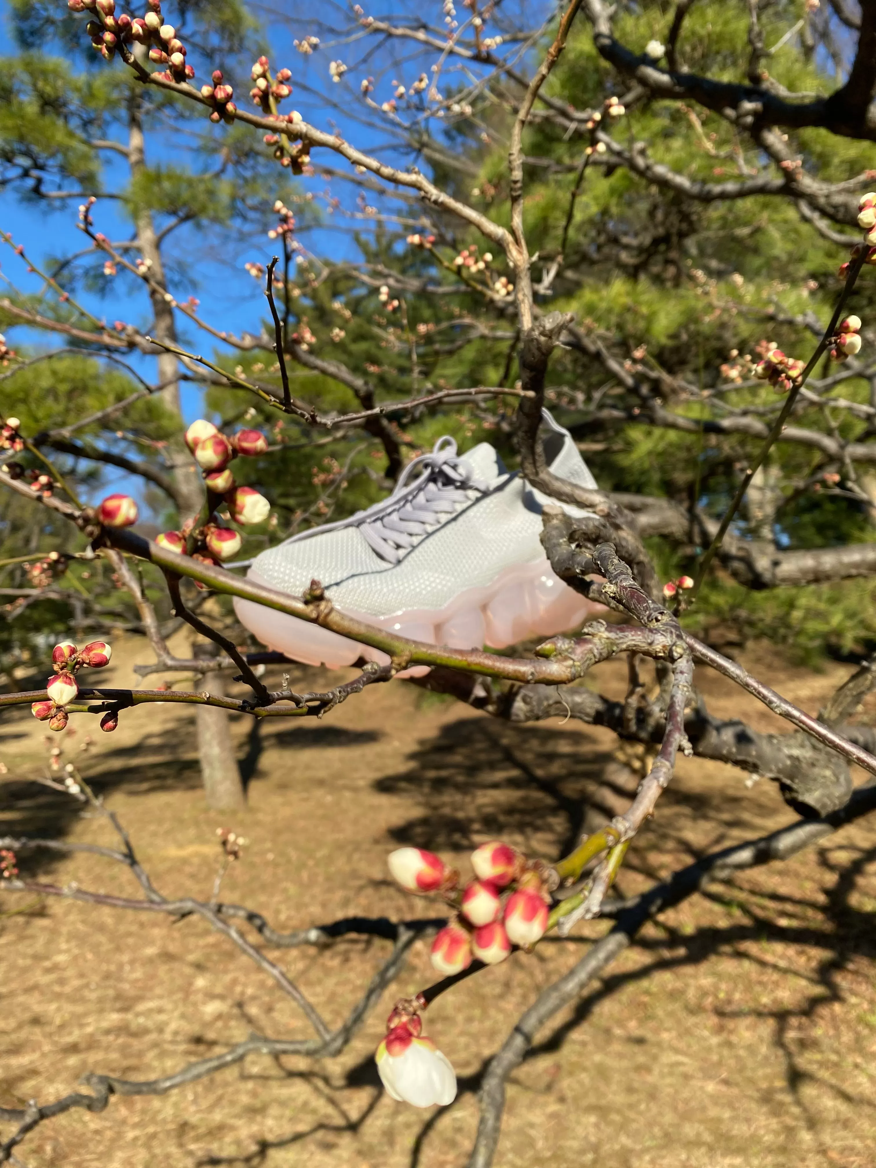 "Jewelry" Basic Shoes / Pink Gray