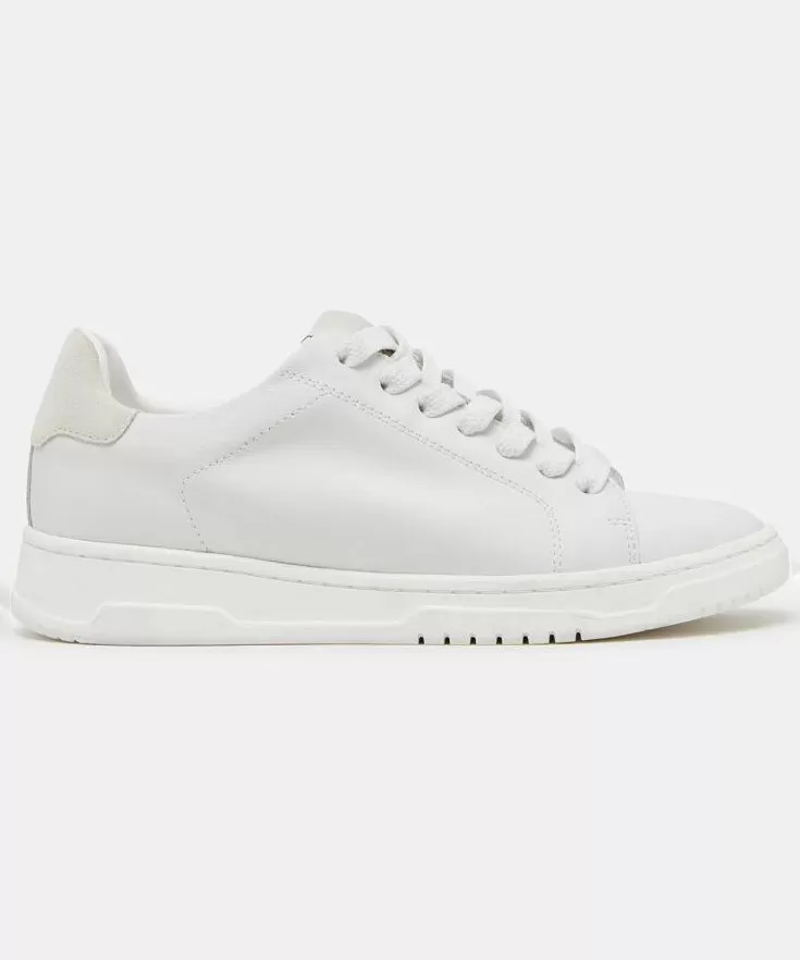 Steve Madden Elsin Sneaker - White